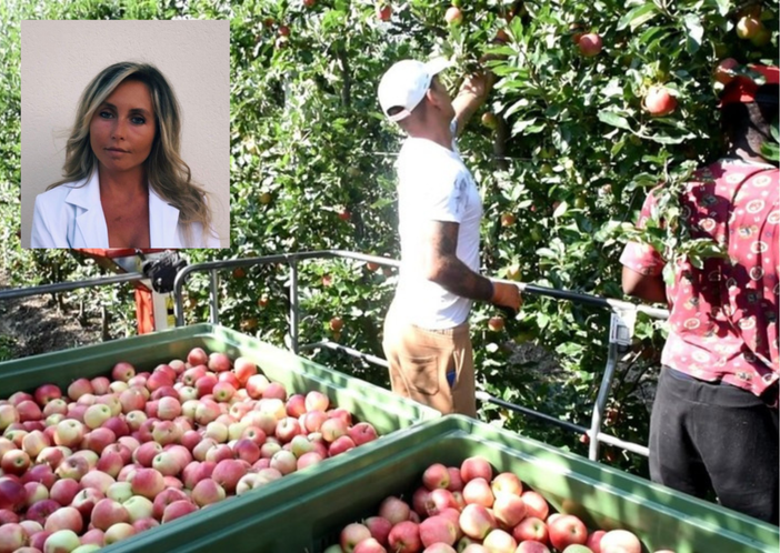 Dal Meleto di Gifflenga: alla scoperta del succo di mela Dal Meleto di Gifflenga: alla scoperta del succo di mela