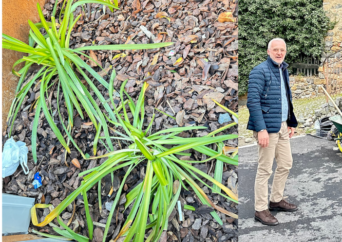 Piazza Vittorio Veneto a Biella nel mirino dei vandali, Franceschini: "Segnalate gli atti ai quali assistete""