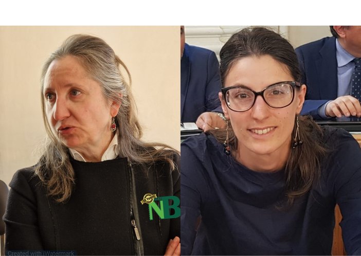 Valeria Varnero lascia l'incarico di capogruppo del PD in Comune a Biella