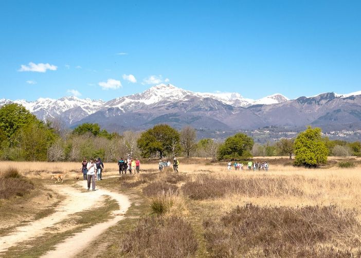 Vigliano, proseguono le passeggiate di primavera: dalla Baraggia al Cervo (foto dal sito web del comune di Vigliano Biellese)