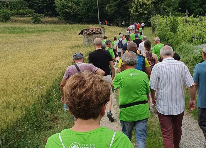 cavaglià camminata cavaglià camminata