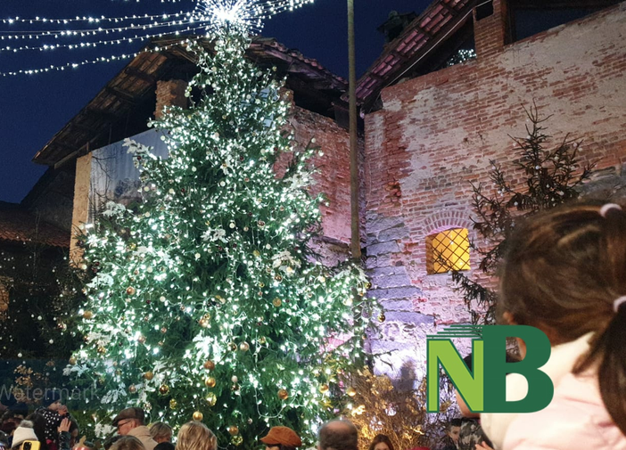 albero natale albero natale