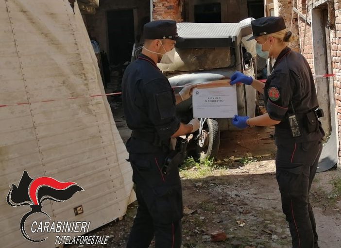 carabinieri forestale carabinieri forestale