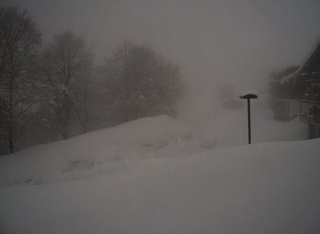 Rinviato anniversario Scuola di sci Bielmonte Oasi Zegna Rinviato anniversario Scuola di sci Bielmonte Oasi Zegna