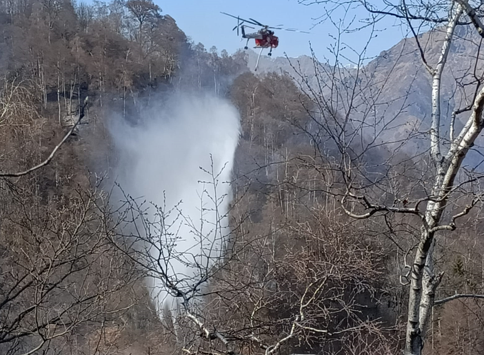 valle cervo incendio
