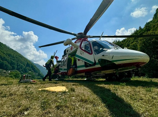 disperso valle cervo disperso valle cervo