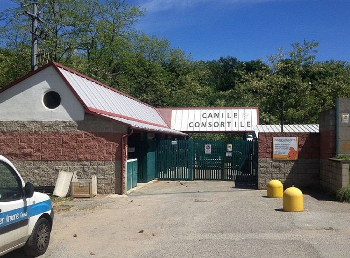 Canile consortile di Cossato: il Comune definisce il progetto dei lavori Canile consortile di Cossato: il Comune definisce il progetto dei lavori