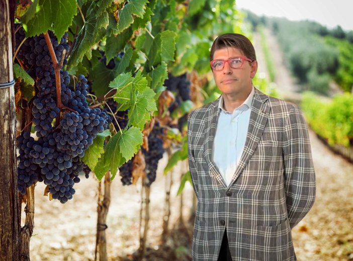 Dazi e settore vinicolo: il Biellese regge la prova del mercato americano Dazi e settore vinicolo: il Biellese regge la prova del mercato americano