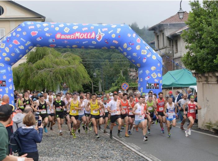 tavigliano corsa tavigliano corsa