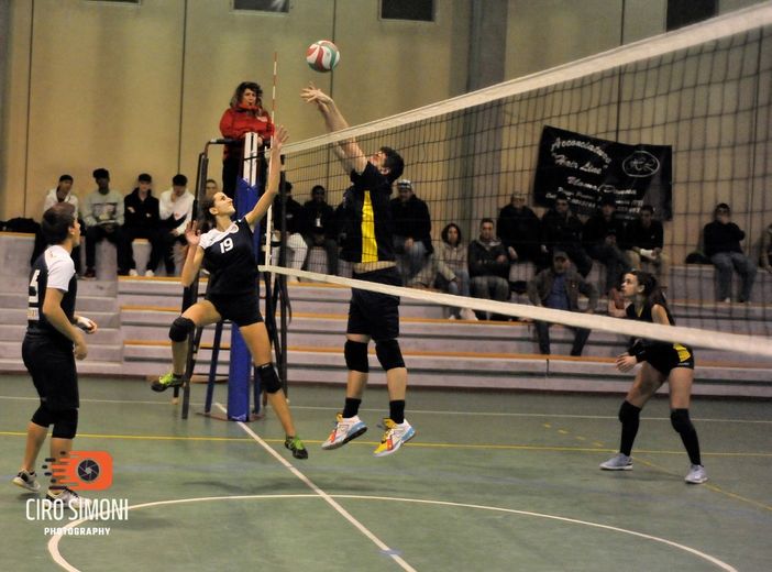 dorca volley