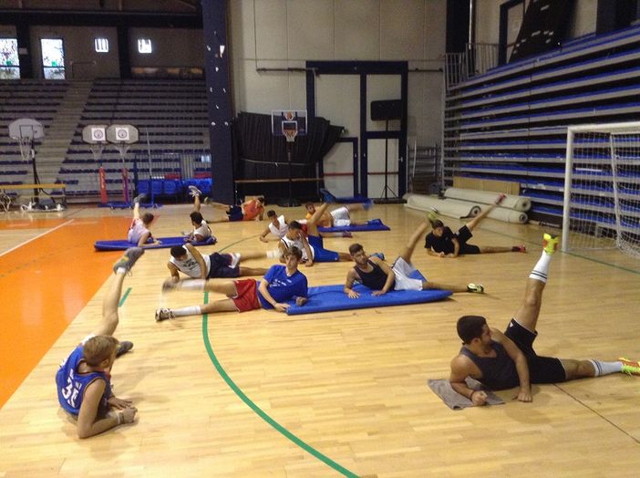 Basket - Gli Orsi iniziano la preparazione
