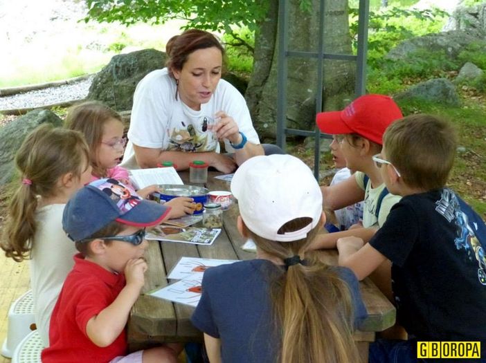 Al Giardino Botanico di Oropa LA giornata sulla biodiversità alpina sugli impollinatori - Foto Giardino Botanico di Oropa