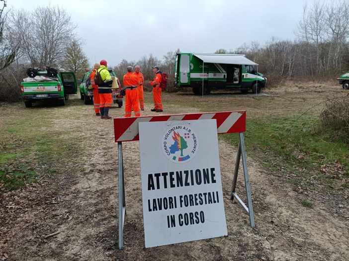Esercitazione provinciale AIB a Biella: ripristino della viabilità forestale in Baraggia