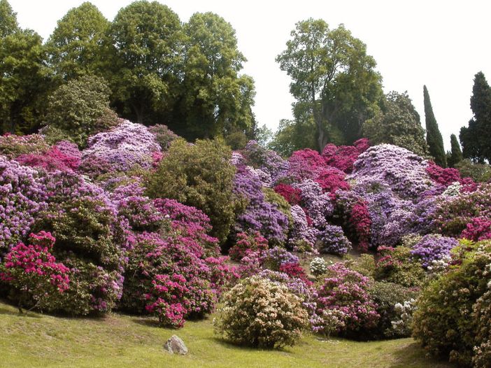 Letture ad alta voce in Burcina