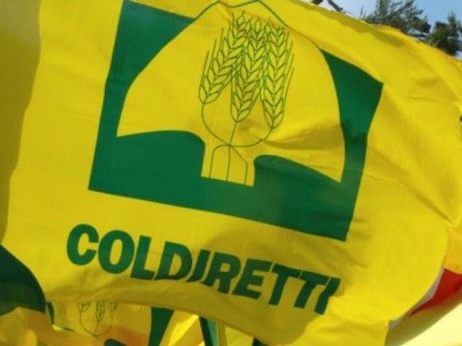 Coldiretti, clima: necessario un tavolo di confronto regionale per gestione risorse idriche