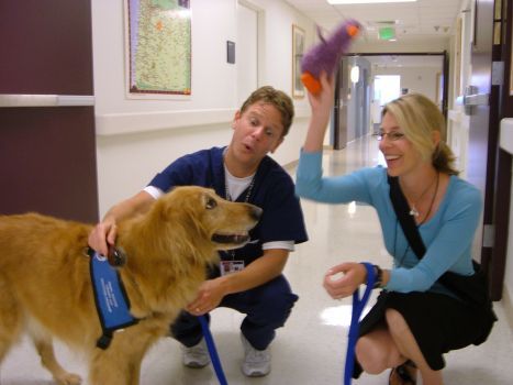 Terapie alternative (parte 1) Terapie alternative (parte 1)