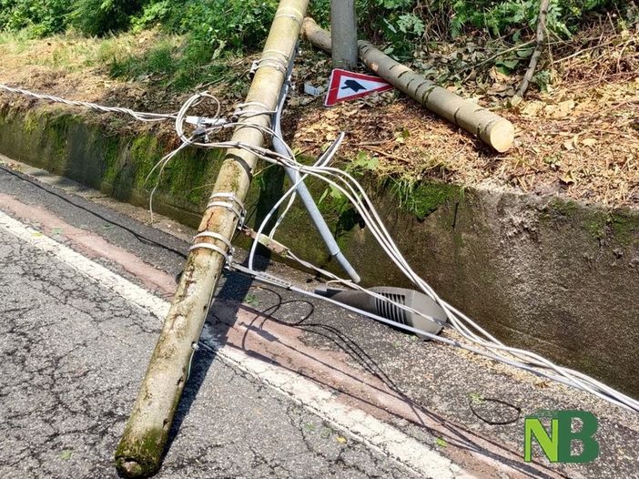 strona palo strona palo