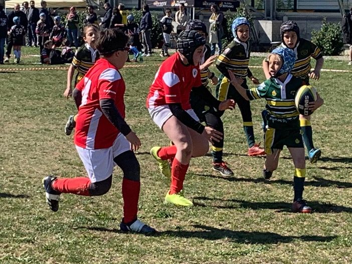 rugby torneo orso