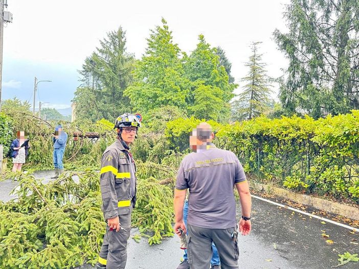 Maltempo a Biella, strada interrotta tra Barazzetto e Vandorno: cadono due alberi e tranciano i cavi elettrici - Foto Giacomo Moscarola. Maltempo a Biella, strada interrotta tra Barazzetto e Vandorno: cadono due alberi e tranciano i cavi elettrici - Foto Giacomo Moscarola.