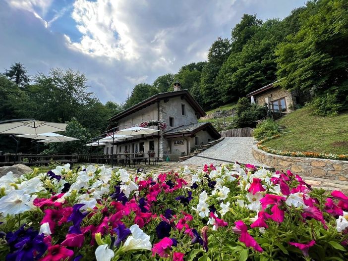 Estate al rifugio Nel Bosco di Alice: fra nuove proposte, eventi e sapori locali Estate al rifugio Nel Bosco di Alice: fra nuove proposte, eventi e sapori locali