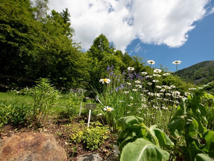 Torna ad Oropa il GeoMorfoGiro: passeggiata guidata nella riserva del Sacro Monte