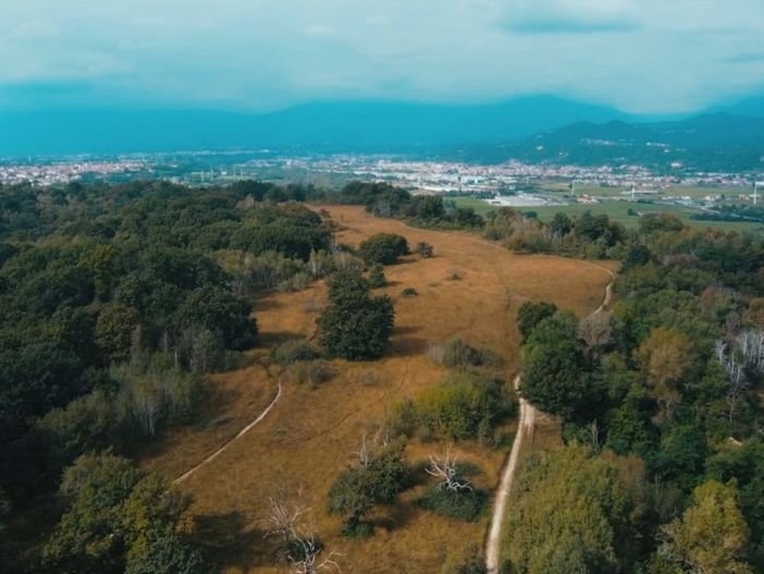 Un'escursione nella "savana piemontese": alla scoperta delle baragge biellesi Un'escursione nella "savana piemontese": alla scoperta delle baragge biellesi