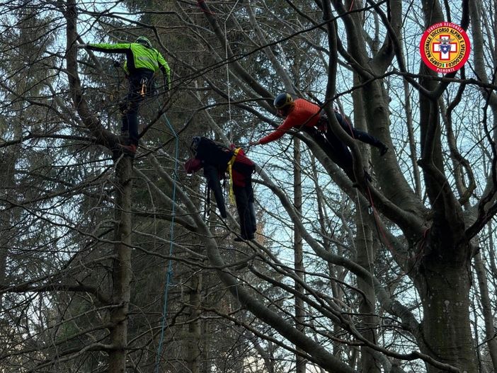 Simulata a Oropa la ricerca di un fotografo scomparso: in azione oltre 40 soccorritori, cani e droni Simulata a Oropa la ricerca di un fotografo scomparso: in azione oltre 40 soccorritori, cani e droni