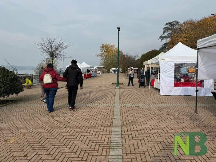 Tra le bancarelle al mercatino degli hobbisti a Viverone FOTO e VIDEO foto Davide Finatti per newsbiella.it