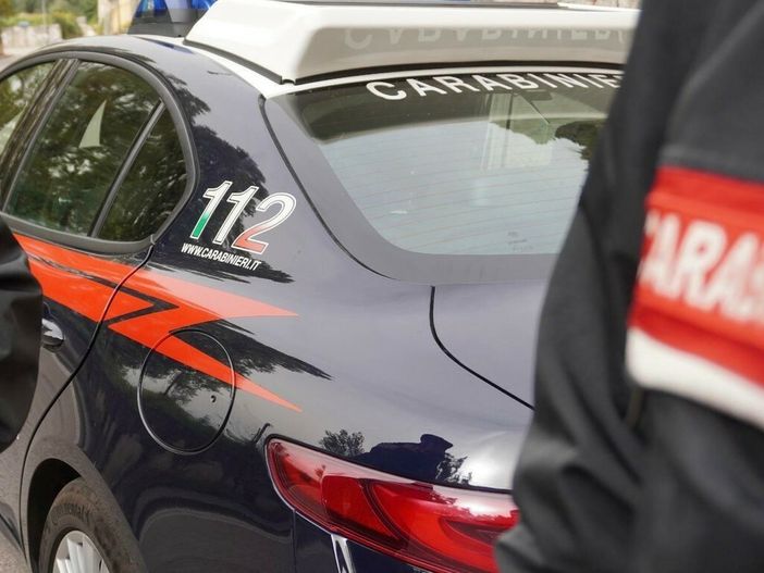 Dal Nord Ovest - Fuga nei boschi e tuffo nella roggia: giovane arrestato per spaccio (foto di repertorio)