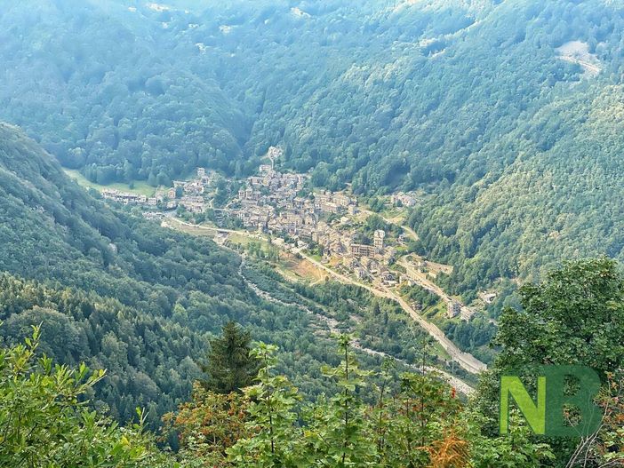 Uncem Piemonte, censito il patrimonio forestale: 970mila ettari - Foto di repertorio