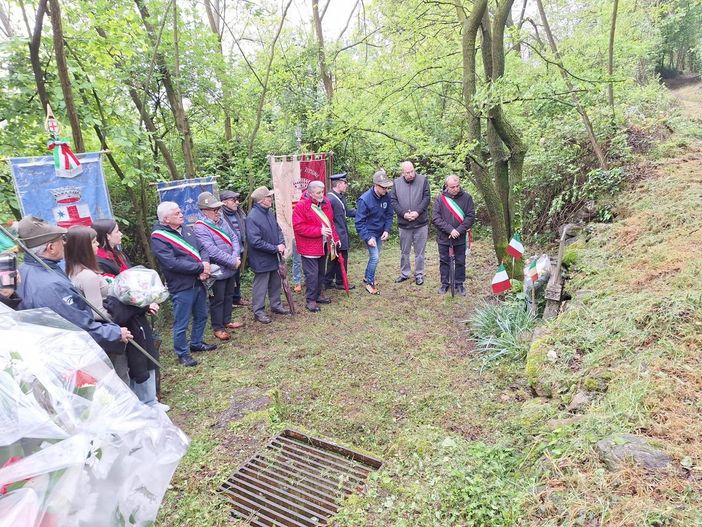 liberazione zimone liberazione zimone