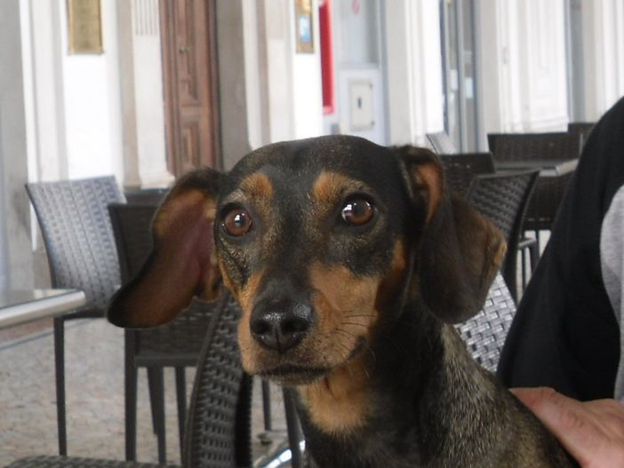 Velosystem, la biomeccanica applicata al ciclismo