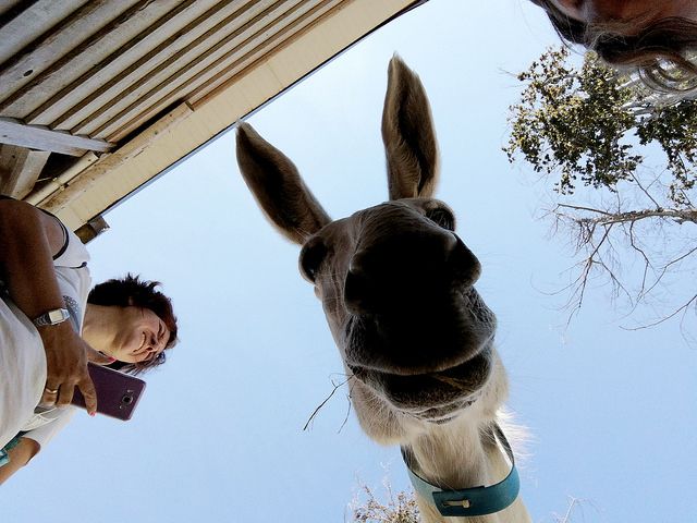 Più di mille per festeggiare il Rifugio degli Asinelli