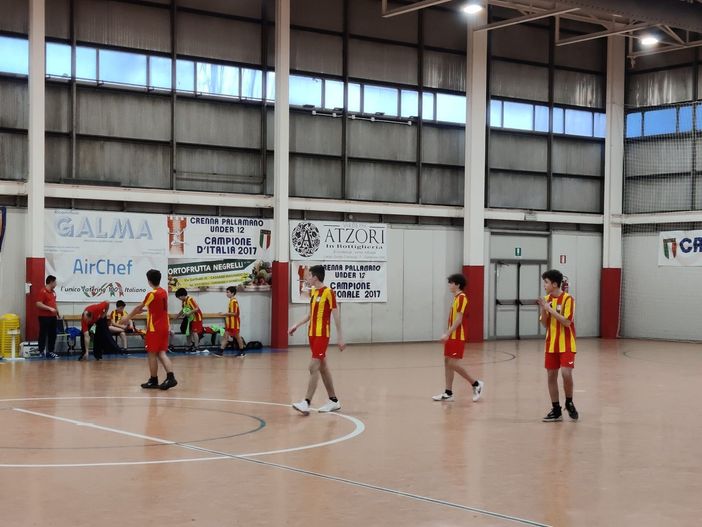 pallamano vigliano