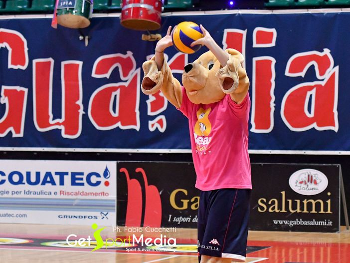 Bear Wool Volley 2023, i risultati delle prime finali Bear Wool Volley 2023, i risultati delle prime finali