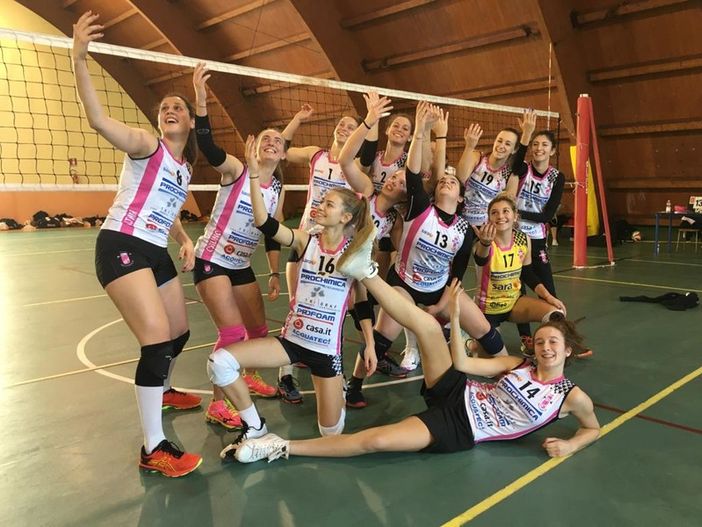 Foto Bear Wool Volley 2019