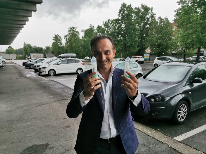 Lotta alla cimice asiatica, in Piemonte effettuato il rilascio della vespa samurai in 100 siti