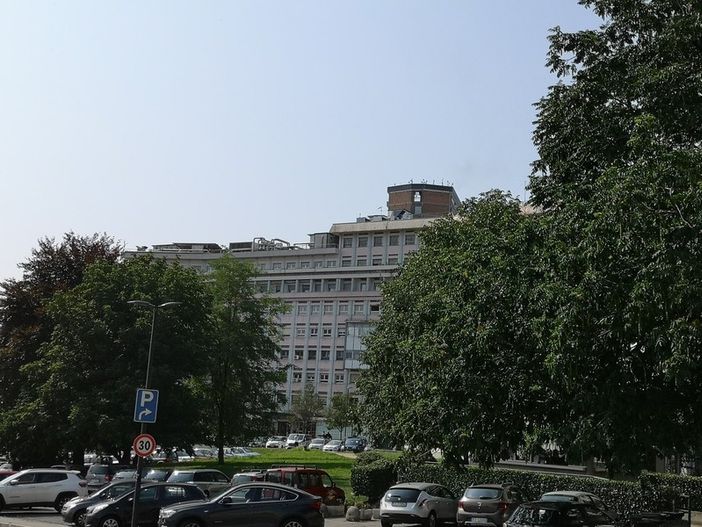 Cellule staminali del fegato per curare i neonati: Torino prima al mondo