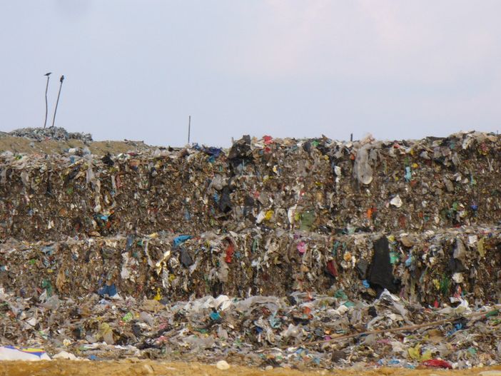 Rifiuti nei boschi di Cossato, l’allarme di un lettore: “Una vera discarica abusiva”