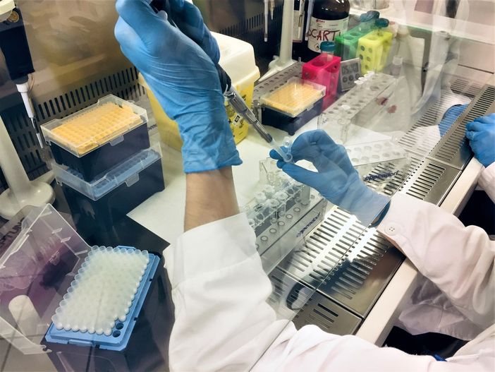 fondo tempia fondo tempia