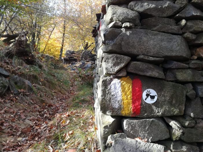 segnaletica valle cervo segnaletica valle cervo