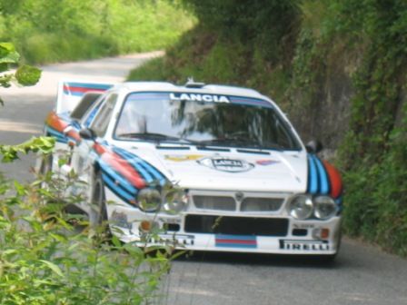 Foto Stefano Negrini