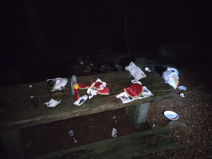 rifiuti abbandonati rifiuti abbandonati