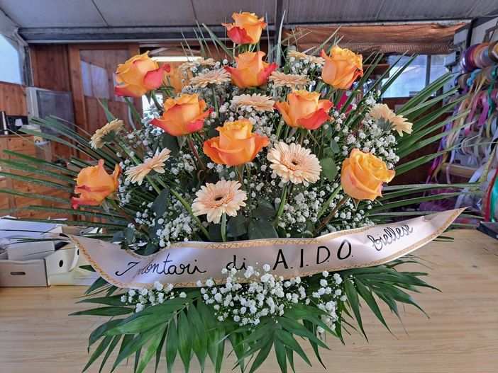 aido biella