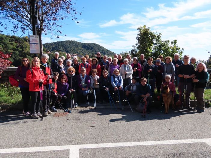 auser cossato auser cossato