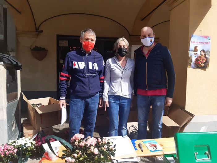 avis coggiola avis coggiola