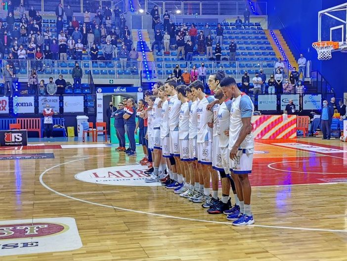 basket basket
