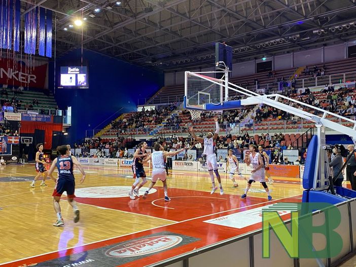 basket biella
