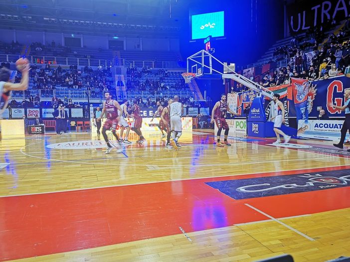 basket biella