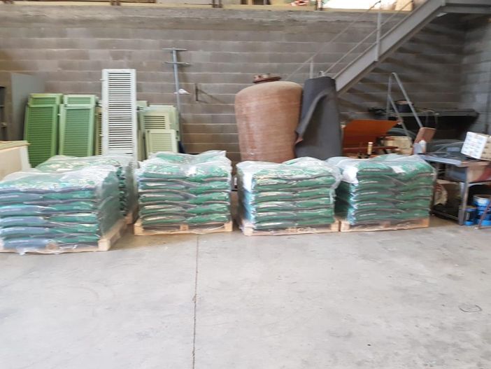 Buche lungo le strade a Biella, il comune mette in campo più personale